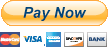 Pay Invoice with PayPal